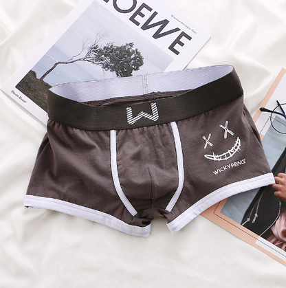 ZENITH PREMIUM BOXER SHORTS | 2+2 FREE TODAY ONLY